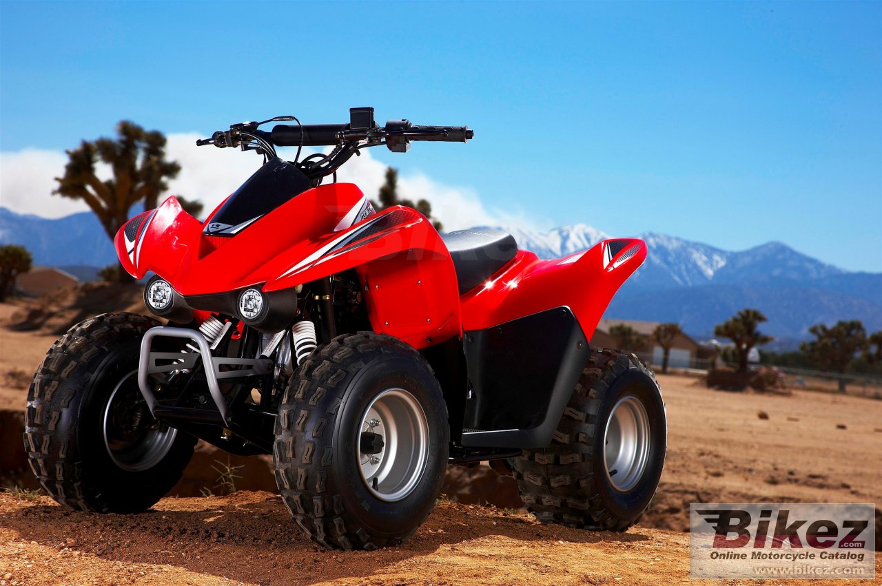 Thumbnail for Kawasaki KFX 90 2009