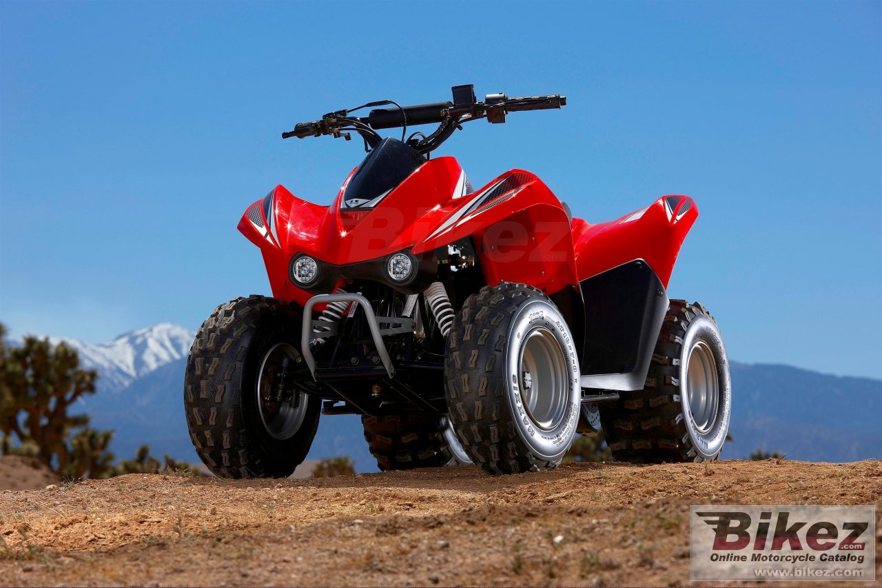 Thumbnail for Kawasaki KFX 90 2009