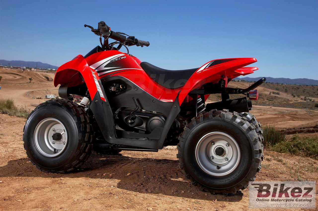 Thumbnail for Kawasaki KFX 90 2009