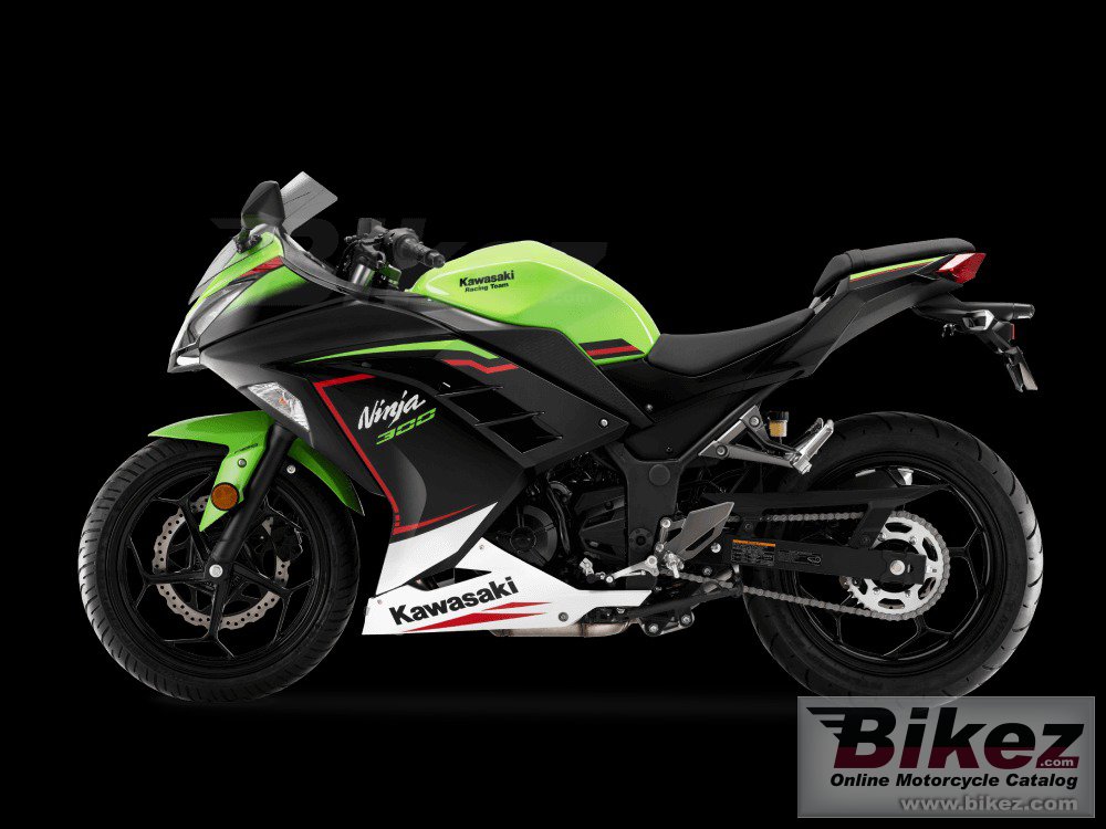 Thumbnail for Kawasaki Ninja 300 2022
