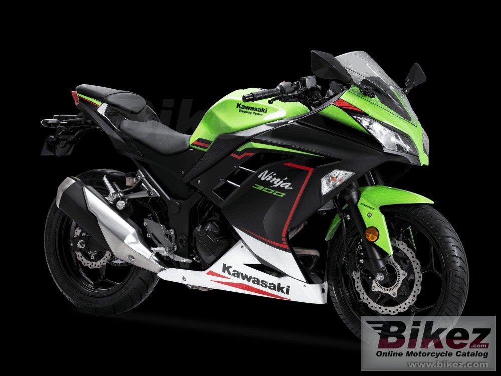 Thumbnail for Kawasaki Ninja 300 2022
