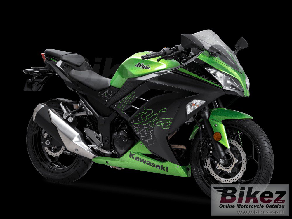 Kawasaki Ninja 300 2022
