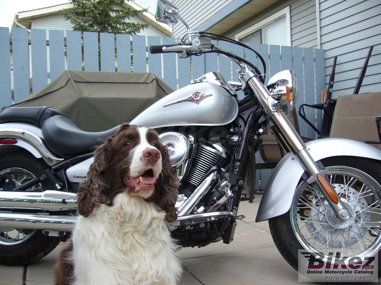 Thumbnail for Kawasaki Vulcan 900 Classic 2006