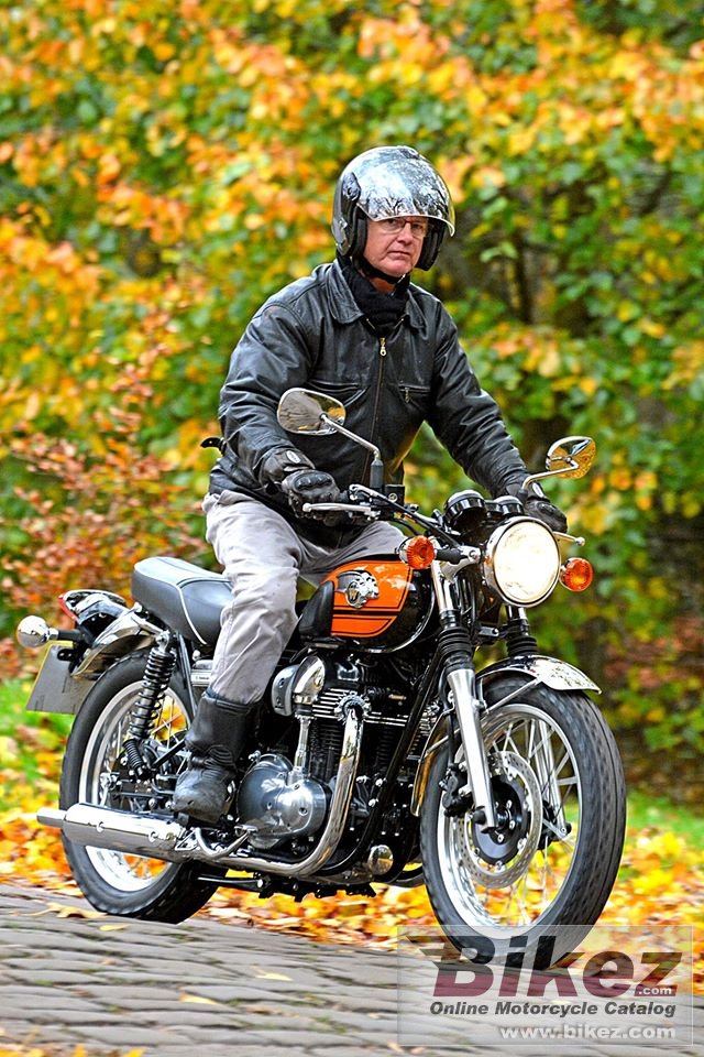 Thumbnail for Kawasaki W800 2016