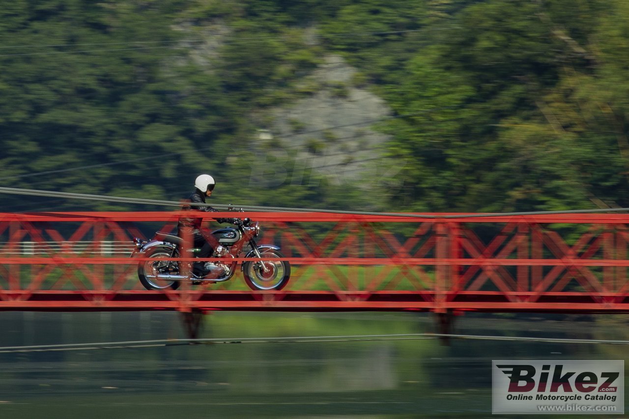 Thumbnail for Kawasaki W800 2020