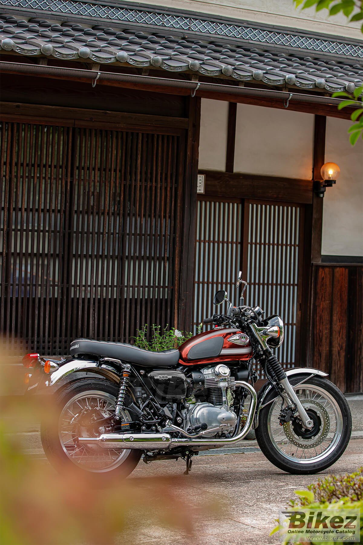 Thumbnail for Kawasaki W800 2022