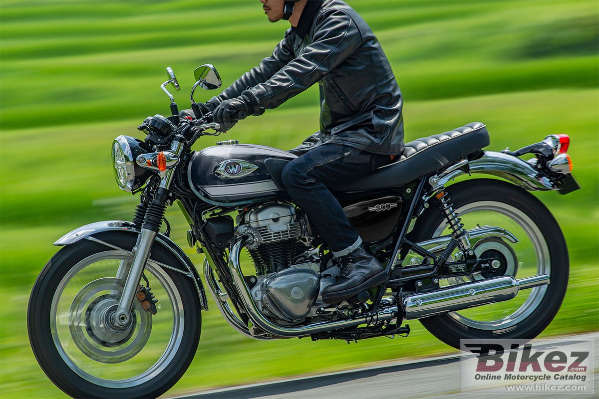 Thumbnail for Kawasaki W800 ABS 2024