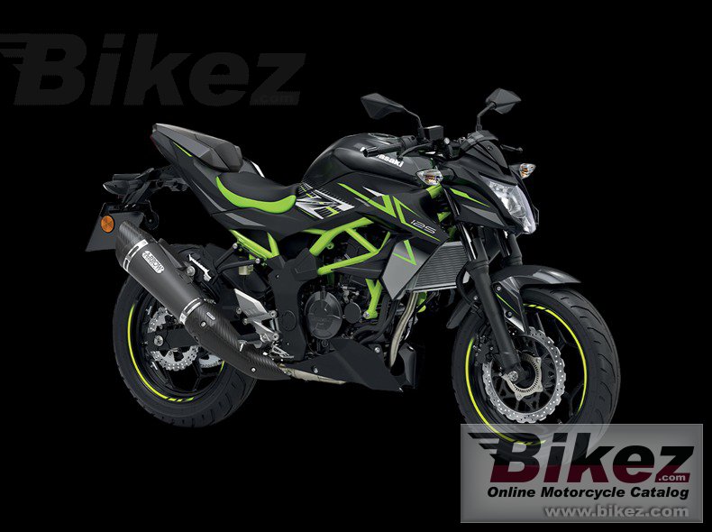 Kawasaki Z125 Performance