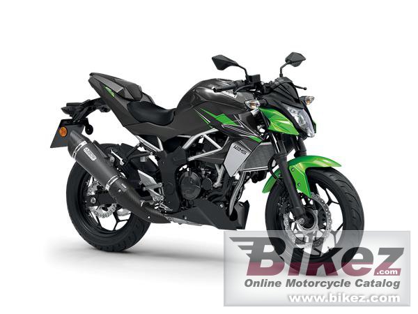Kawasaki Z125 Performance