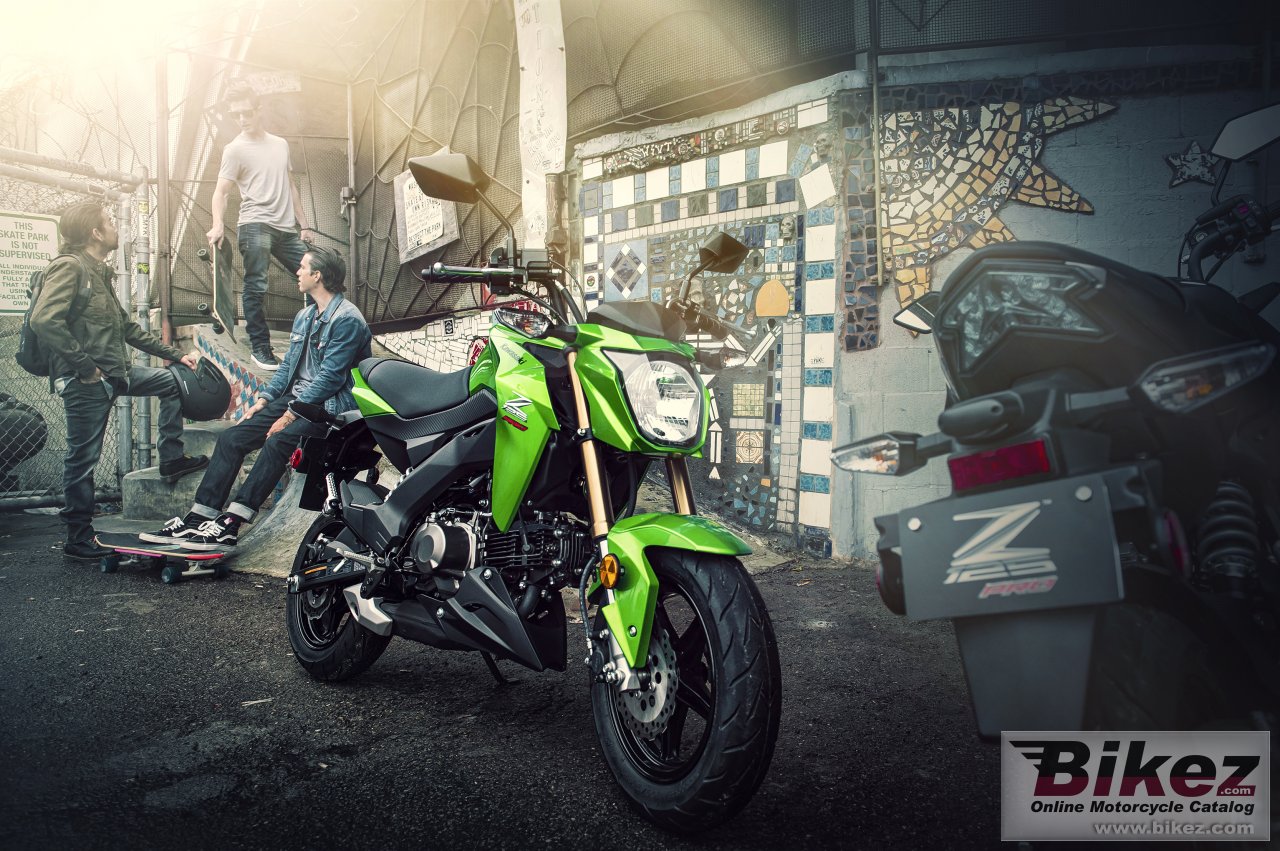 Thumbnail for Kawasaki Z125 Pro 2017