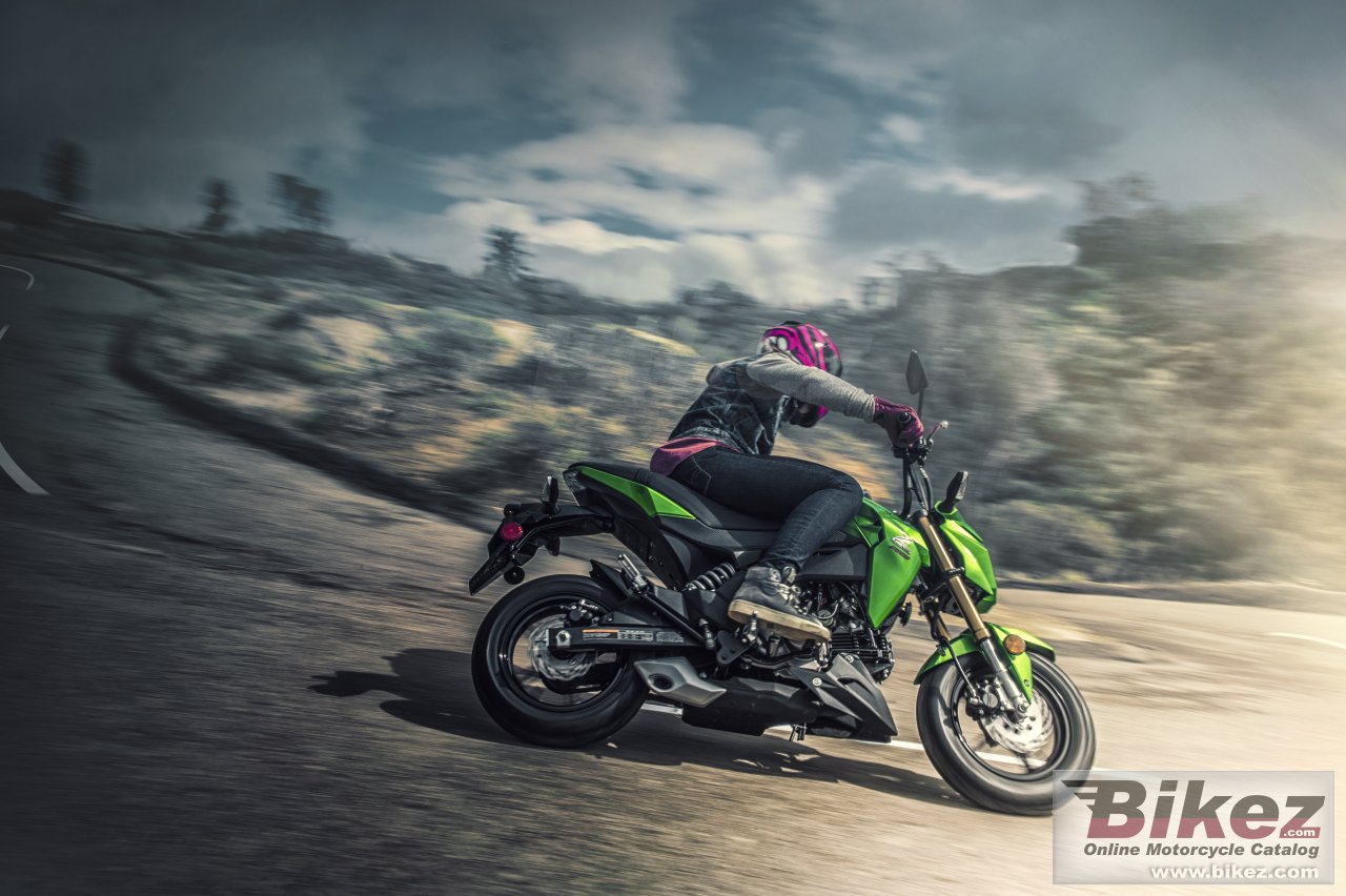 Thumbnail for Kawasaki Z125 Pro 2017