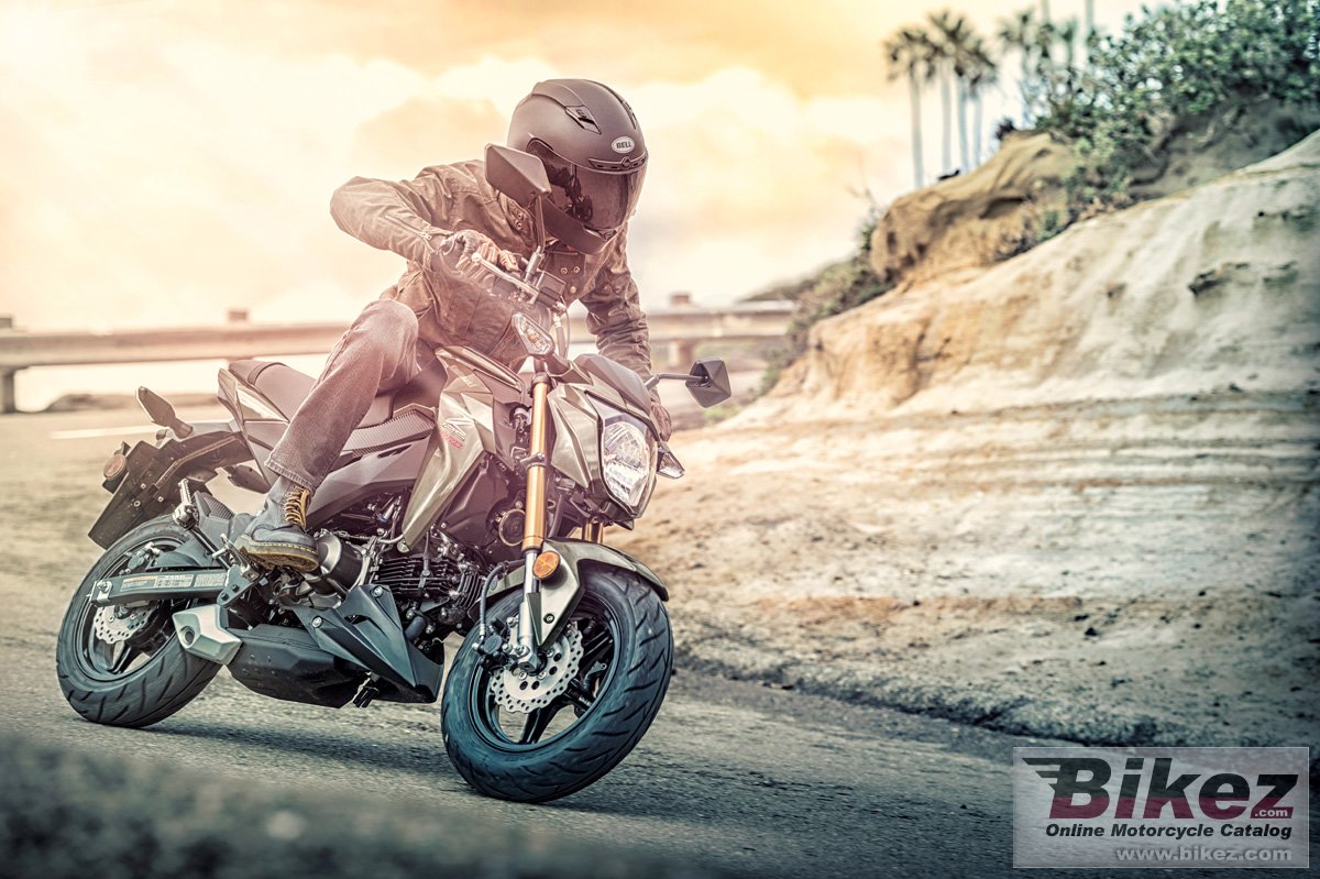 Thumbnail for Kawasaki Z125 Pro 2018