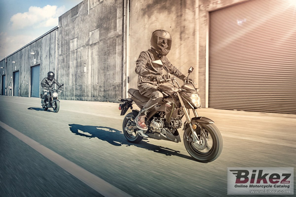 Thumbnail for Kawasaki Z125 Pro 2018