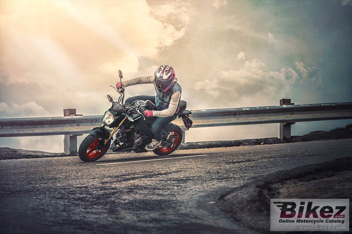 Thumbnail for Kawasaki Z125 Pro 2021