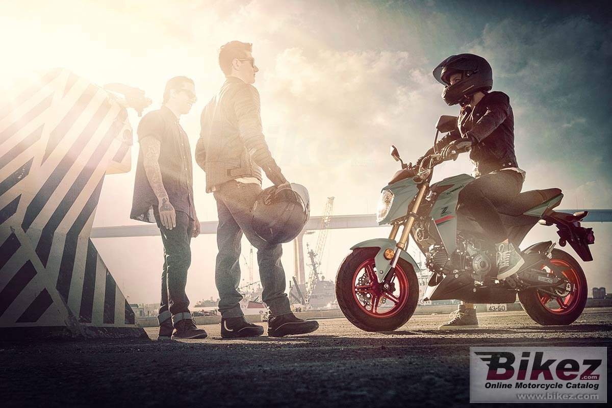 Thumbnail for Kawasaki Z125 Pro 2023