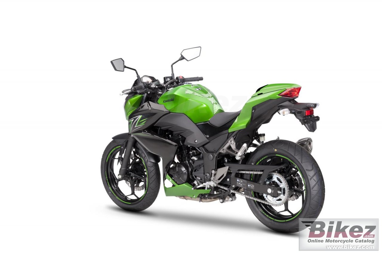 Thumbnail for Kawasaki Z300 Performance 2017