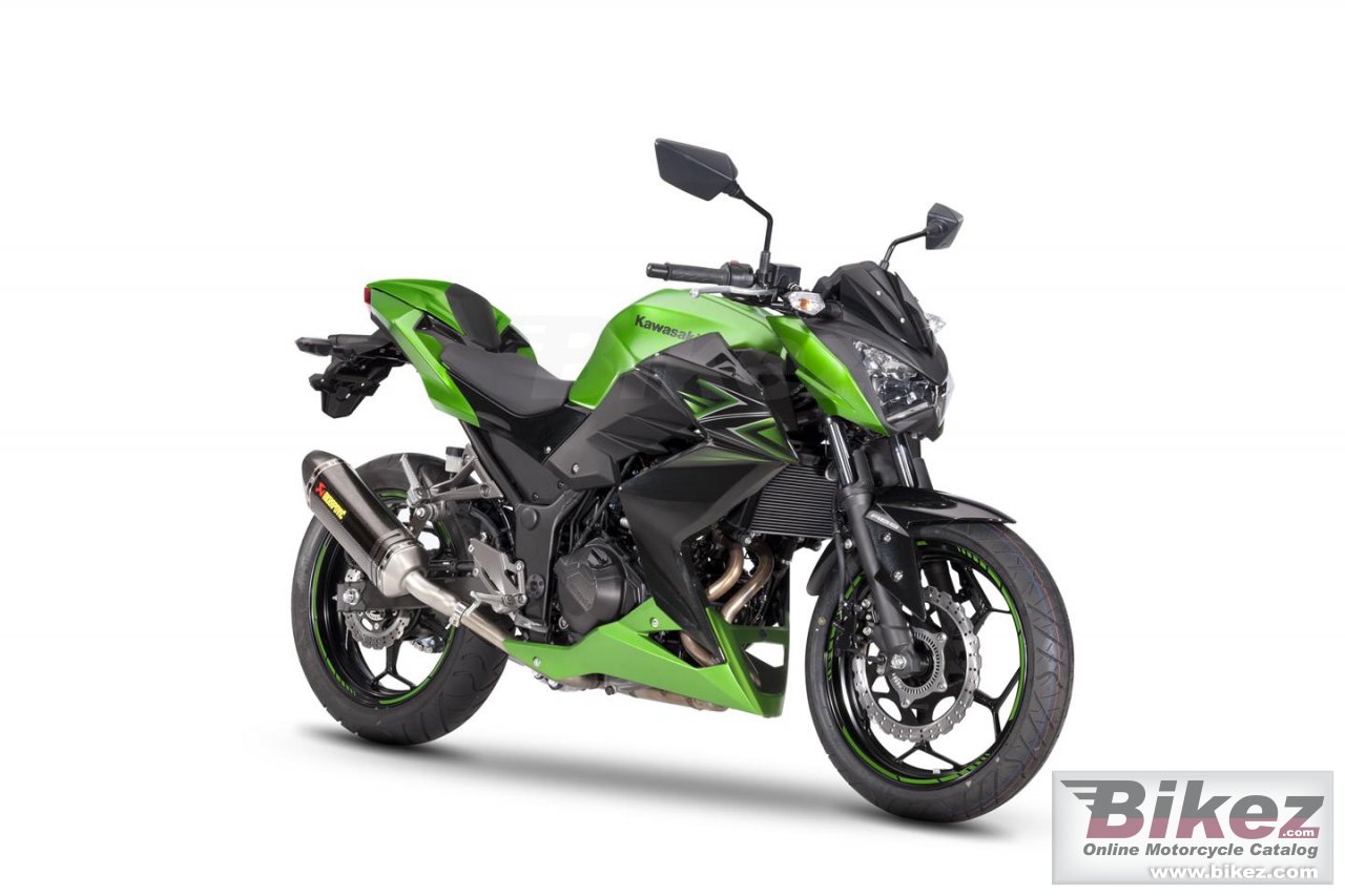 Kawasaki Z300 Performance