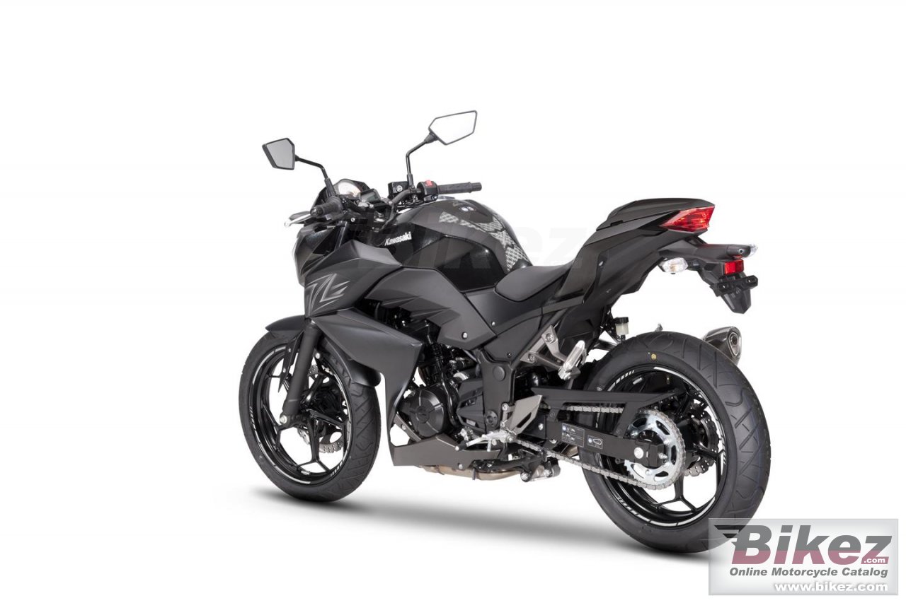 Thumbnail for Kawasaki Z300 Performance 2017