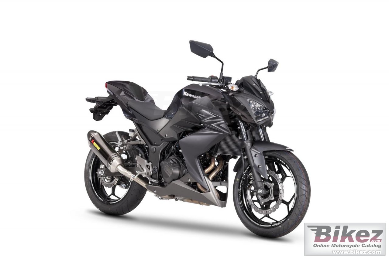 Thumbnail for Kawasaki Z300 Performance 2017