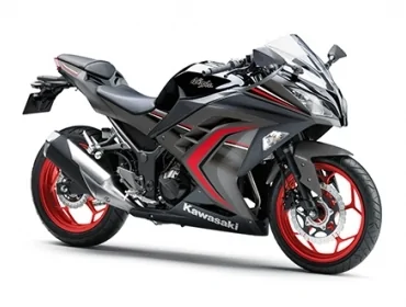 Kawasaki Z300 Special Edition