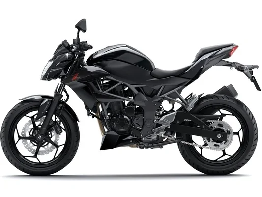 Thumbnail for Kawasaki Z 250SL ABS 2015