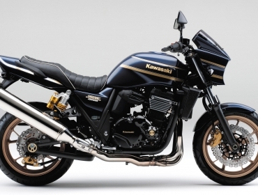 Kawasaki ZRX1200 DAEG