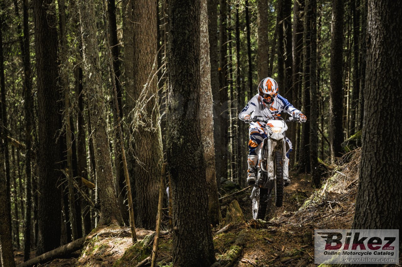 Thumbnail for KTM Freeride 250 R 2017
