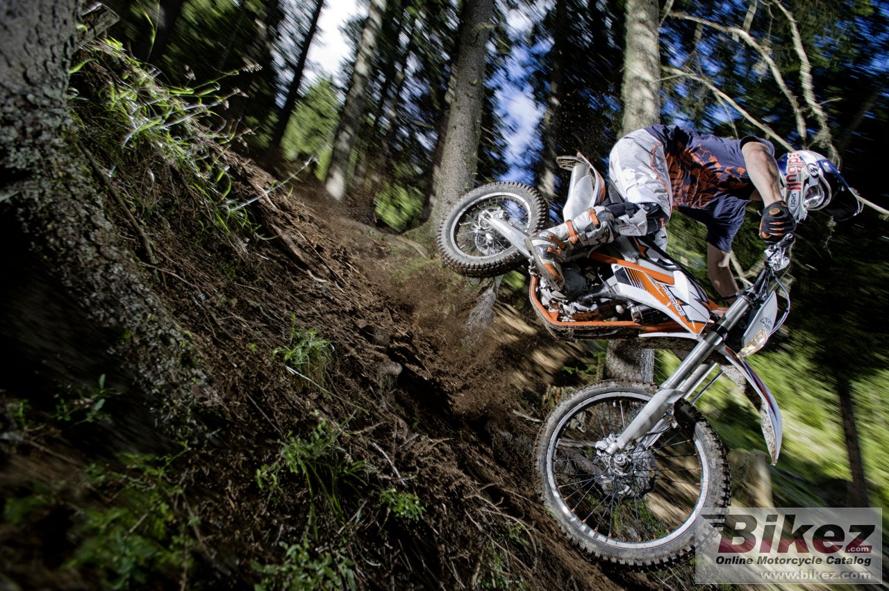 Thumbnail for KTM Freeride 350 2013