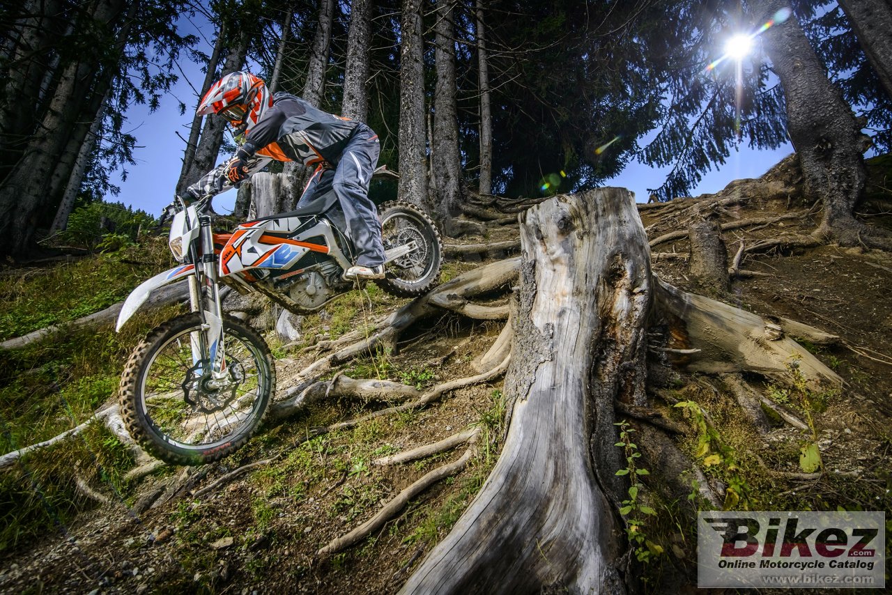 Thumbnail for KTM Freeride E-XC 2017
