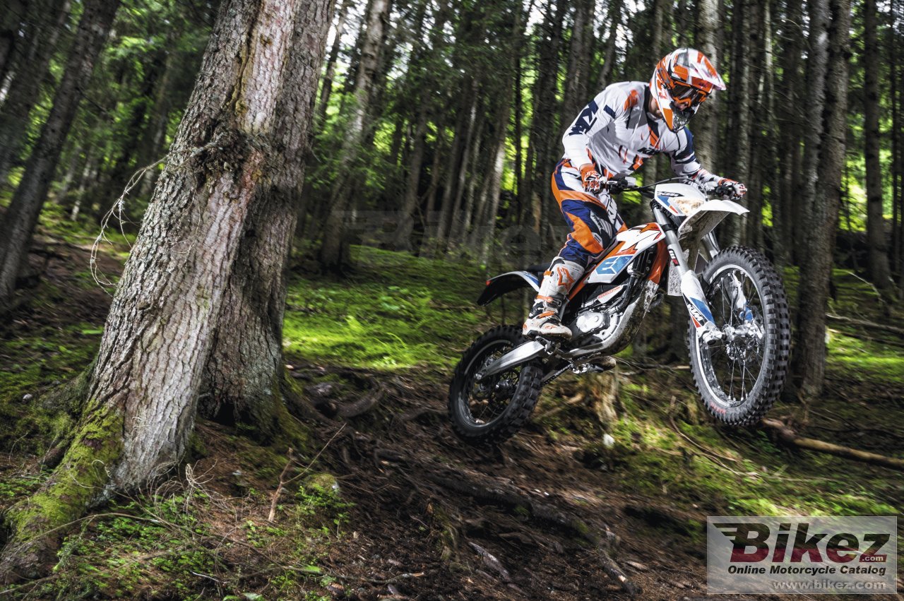 Thumbnail for KTM Freeride E-XC 2017