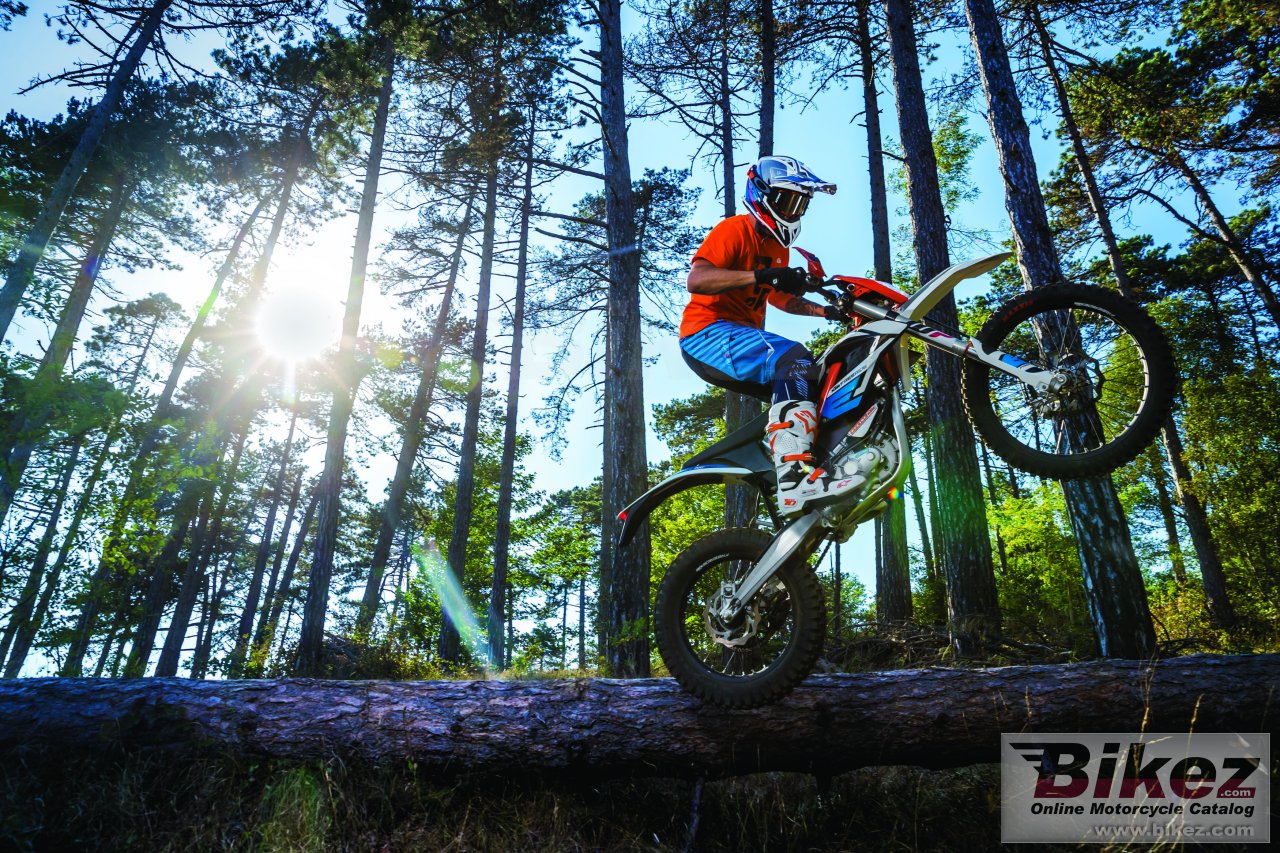 Thumbnail for KTM Freeride E-XC 2018