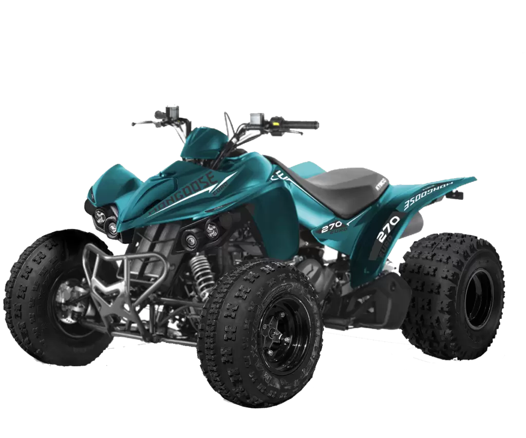 Thumbnail for Kymco Mongoose 270 Euro 2021