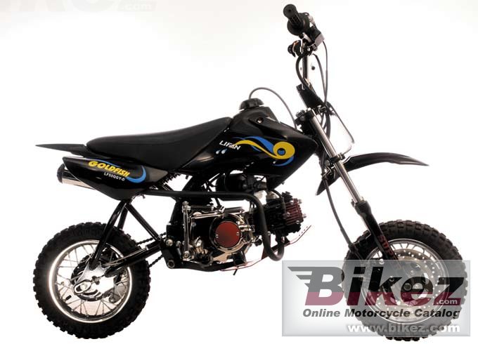 Lifan Goldfish 50