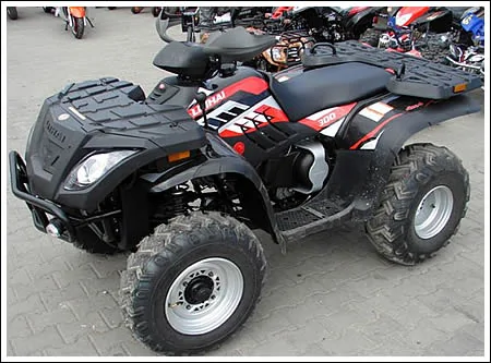 Thumbnail for Linhai ATV Muddy 300 2010