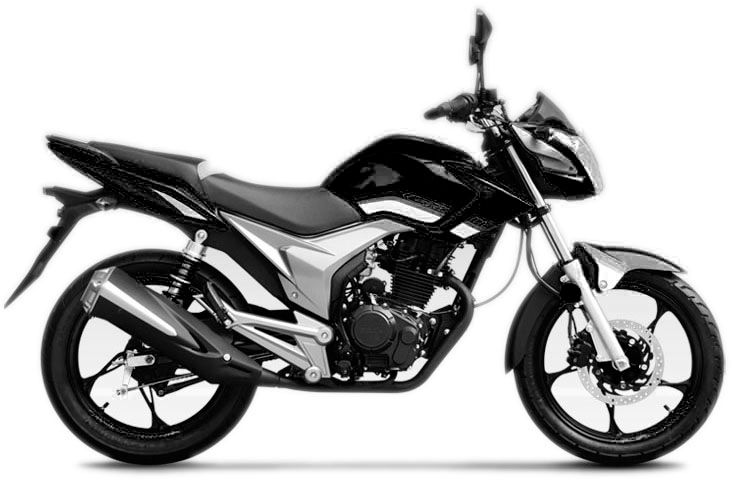 Loncin LX200ZH