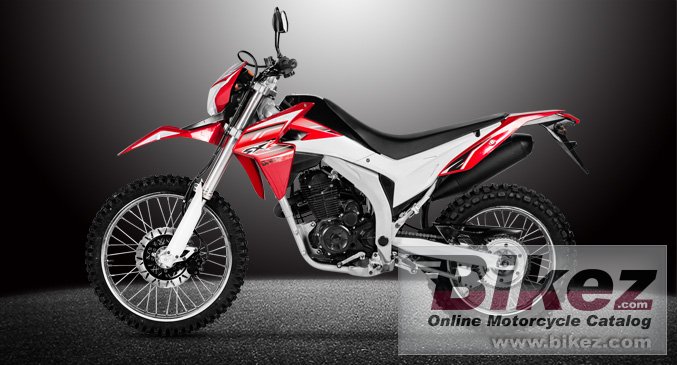 Thumbnail for Loncin SX2 2017