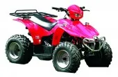 Thumbnail for Macbor ATV CX 180 2009
