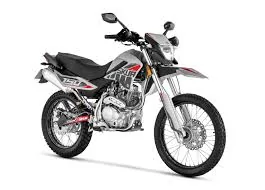 Thumbnail for Motomel Skua 150 Silver Edition 2020