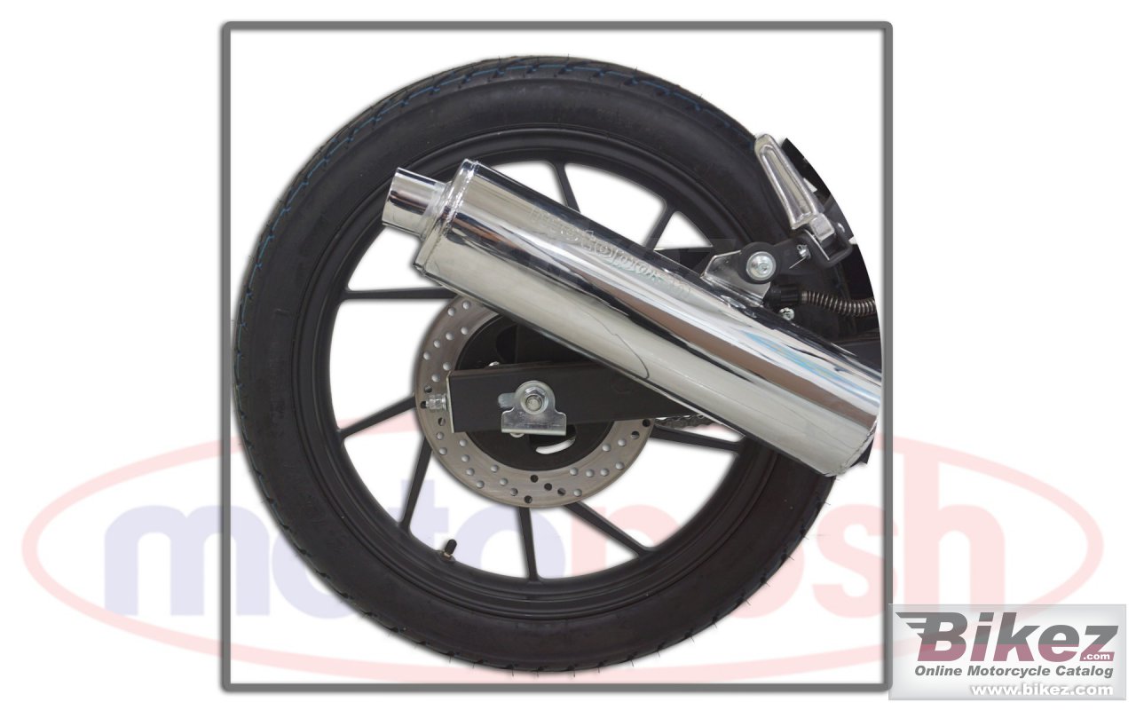 Thumbnail for Motoposh Typhoon 150 2021
