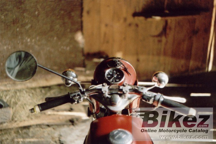 Thumbnail for MuZ TS 250 1973