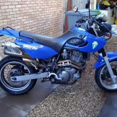 MZ Mastiff