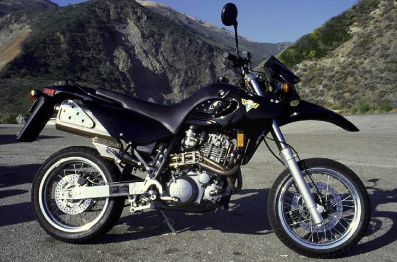 MZ Mastiff