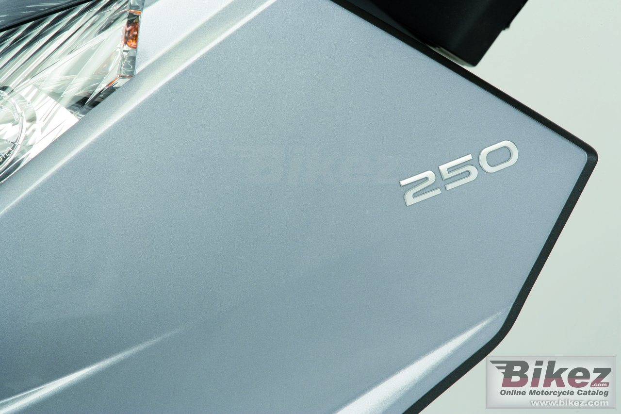 Thumbnail for Peugeot Satelis 250 2009