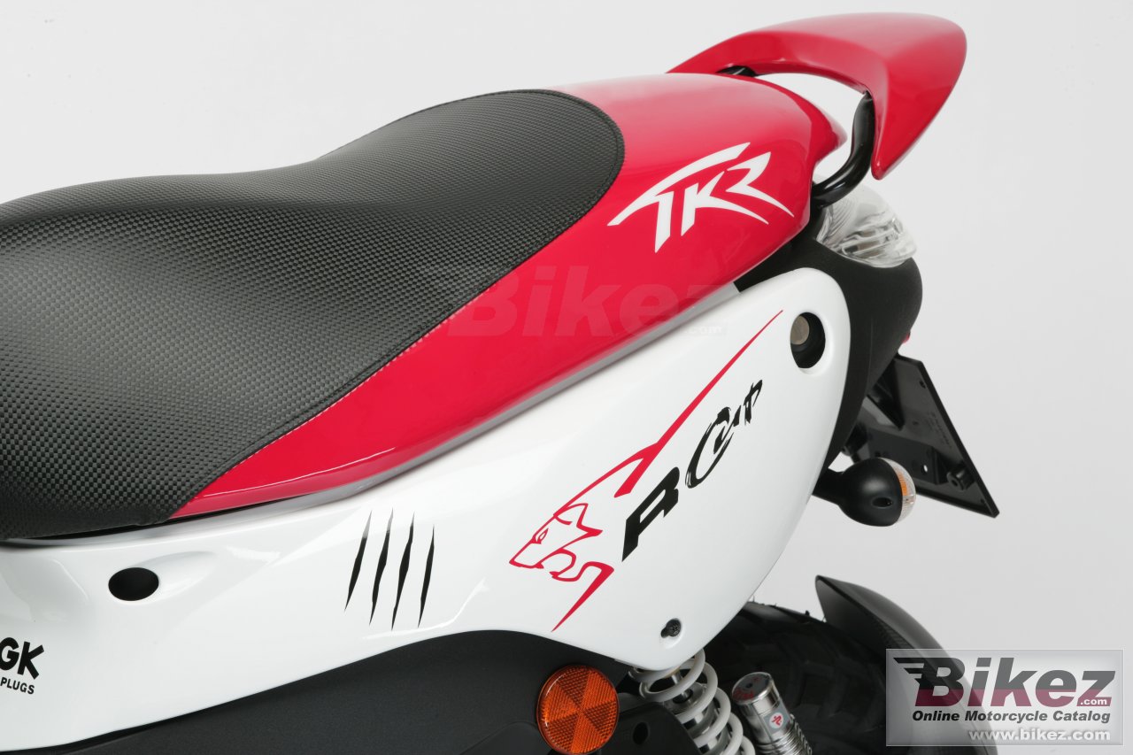 Thumbnail for Peugeot TKR 50 RCup 2008