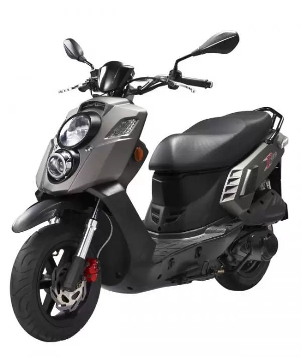 PGO PMS 110