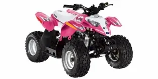 Thumbnail for Polaris Outlaw 50 2010
