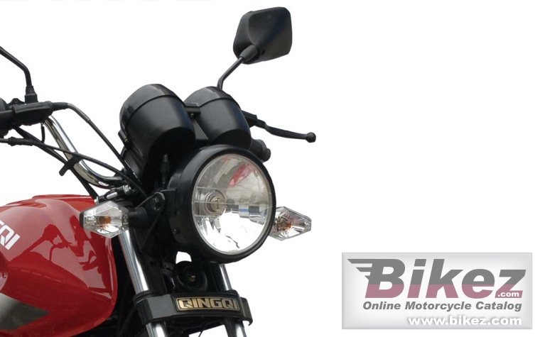 Thumbnail for Qingqi Buffalo QM125-10R 2013
