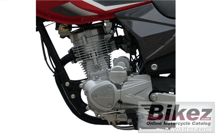Thumbnail for Qingqi Buffalo QM125-10R 2013