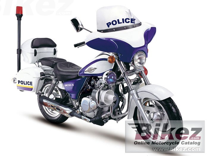 Qingqi QM250J-2L Police