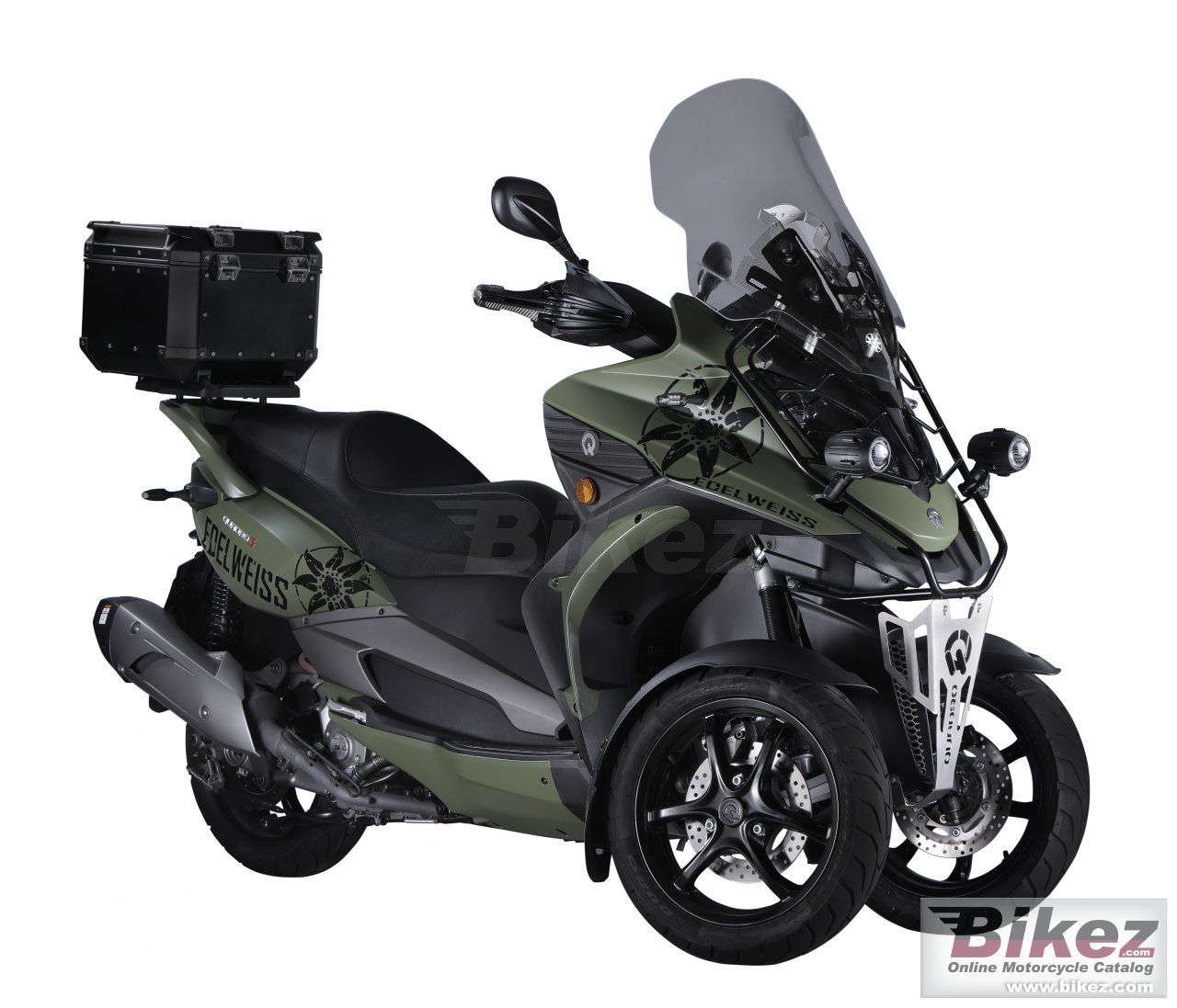 Quadro 3 Edelweiss